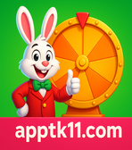 tk11 - ইনস্টলেশনের নির্দেশাবলী